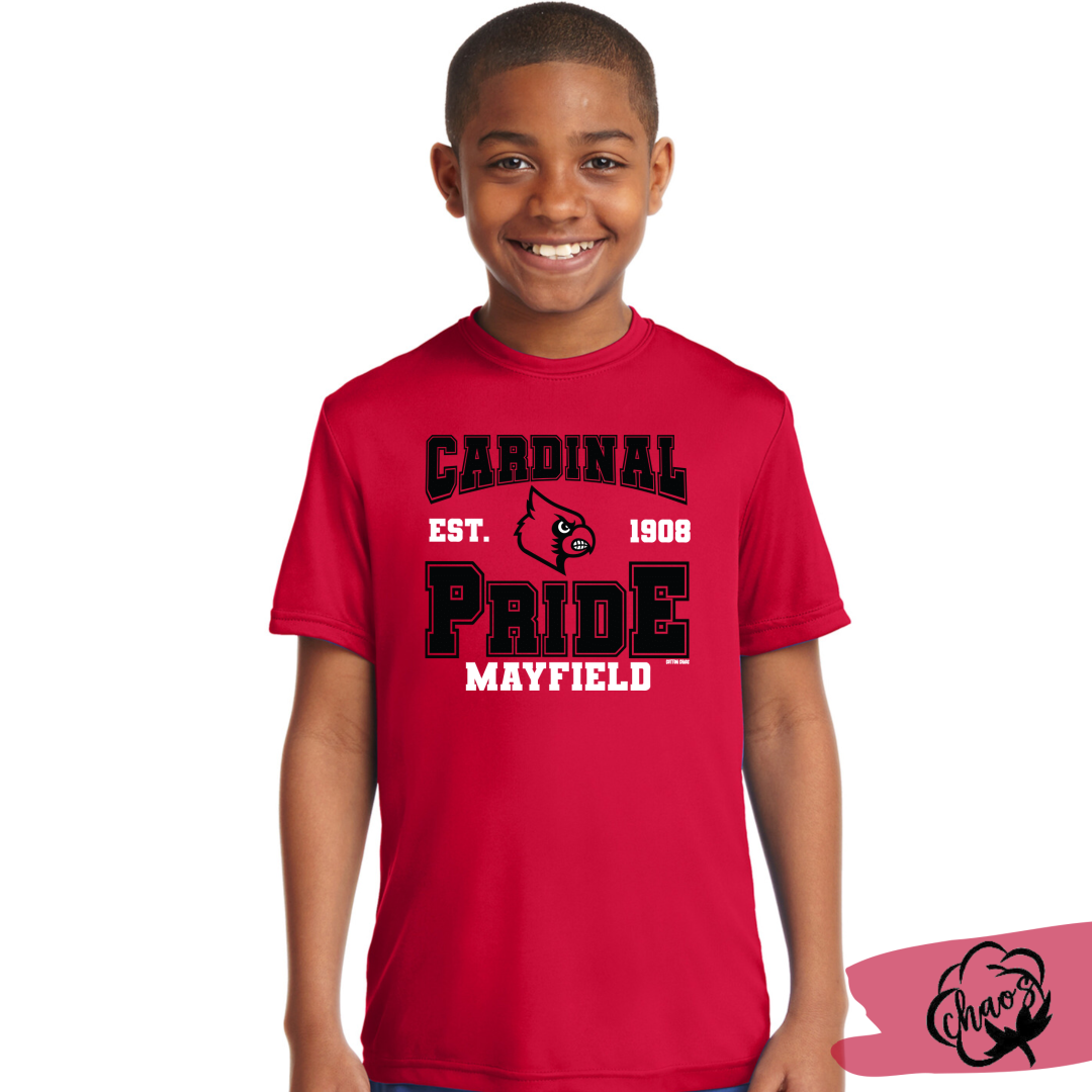 Dry Fit Cardinal Pride Youth